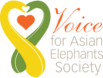 VFAES logo